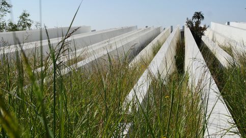 La última factura de Calatrava: 13 millones tirados en un solar de Valencia