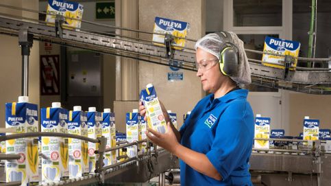 Los retos de una marca láctea hacia una producción más sostenible