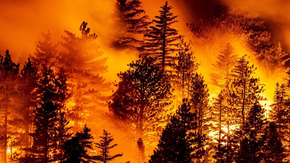 Foto: Incendio en California. (Reuters)