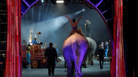 El circo Ringling jubila a sus elefantes