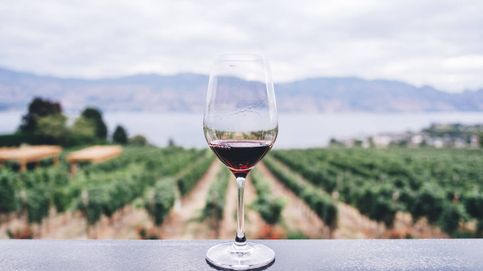 La ciencia estudia por qué el vino podría tener beneficios para la salud