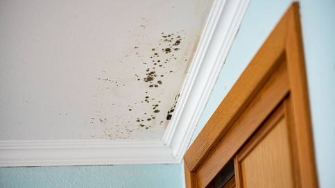 Cómo limpiar las manchas de humedad de tu techo