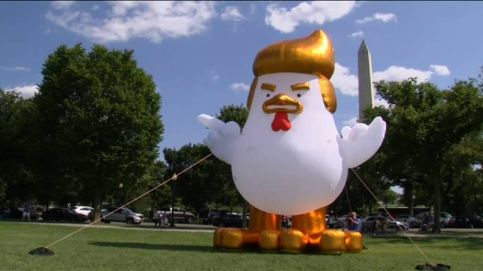 Una gigantesca gallina inflable aparece en la Casa Blanca