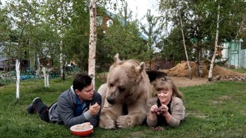 Stepan, el tierno oso domesticado que ve la televisión y merienda cereales