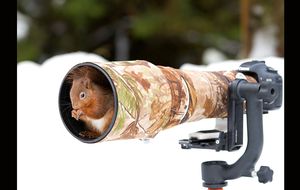 Animales y cámaras fotográficas captados en la naturaleza