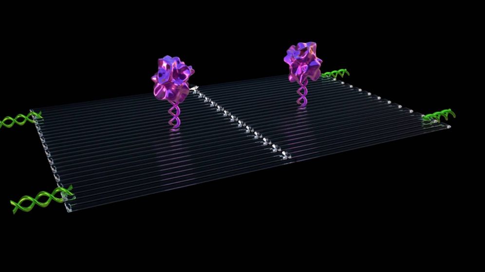 Foto: Ilustración del nano-robot matatumores. (ASU)