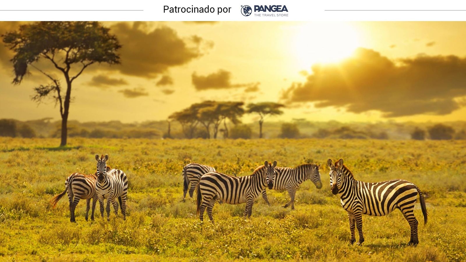 Viajes en el mundo: Safaris en Kenia: rutas entre animales para