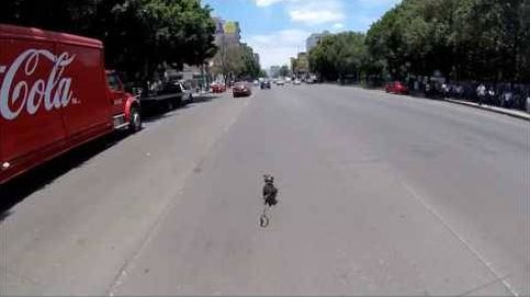 La carrera de un ciclista por salvar a un perro de ser atropellado