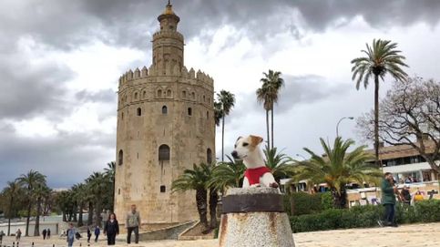 Pipper, el perro viajero que ha dado la vuelta a España