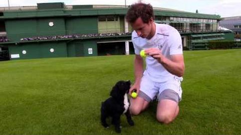 Andy Murray enseña tenis a unos cachorros