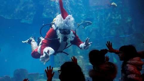 Un Papá Noel acuático y la fiesta navideña de la espuma en Singapur: el día en fotos