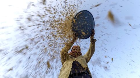 Escuela subterránea en al-Qaboon y recolección de arroz en Nepal: el día en fotos