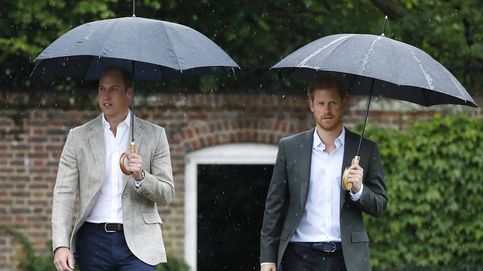Enrique y Guillermo homenajean a Diana en Kensington Palace