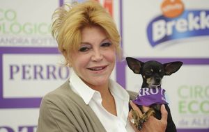 Carmen Cervera amadrina una carrera benéfica de perros