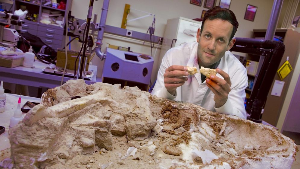 Foto: Michael D'Emic y restos fósiles de un Majungasaurus. Foto: REUTERS/John Griffin