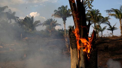 El incendio de la Amazonia brasileña, en imágenes
