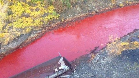 Resuelto el misterio de por qué un río ruso se tiñó de color rojo de un día para otro