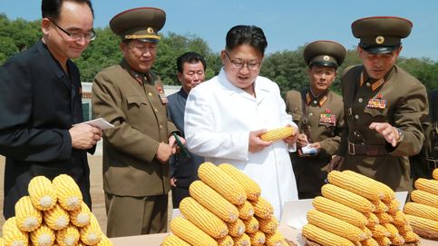 Kim Jong-un, orgulloso del maíz y el arroz que producen las granjas de Corea del Norte