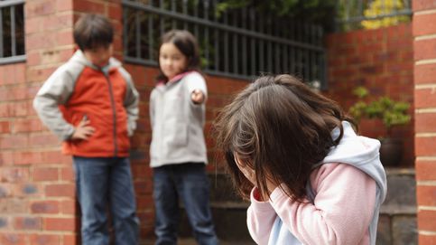 El programa que detecta el 'bullying' escolar en fases poco avanzadas