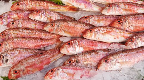 Salmonete, el pez rosado lleno de nutrientes (y una rica receta) 