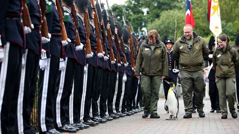 El pingüino real escocés que se convirtió en General del Ejército de Noruega