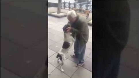 El tierno reencuentro entre un dueño y su perro tras tres años perdido